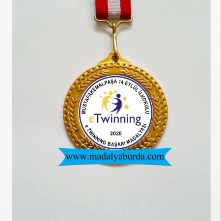 e Twinning başarı madalyası